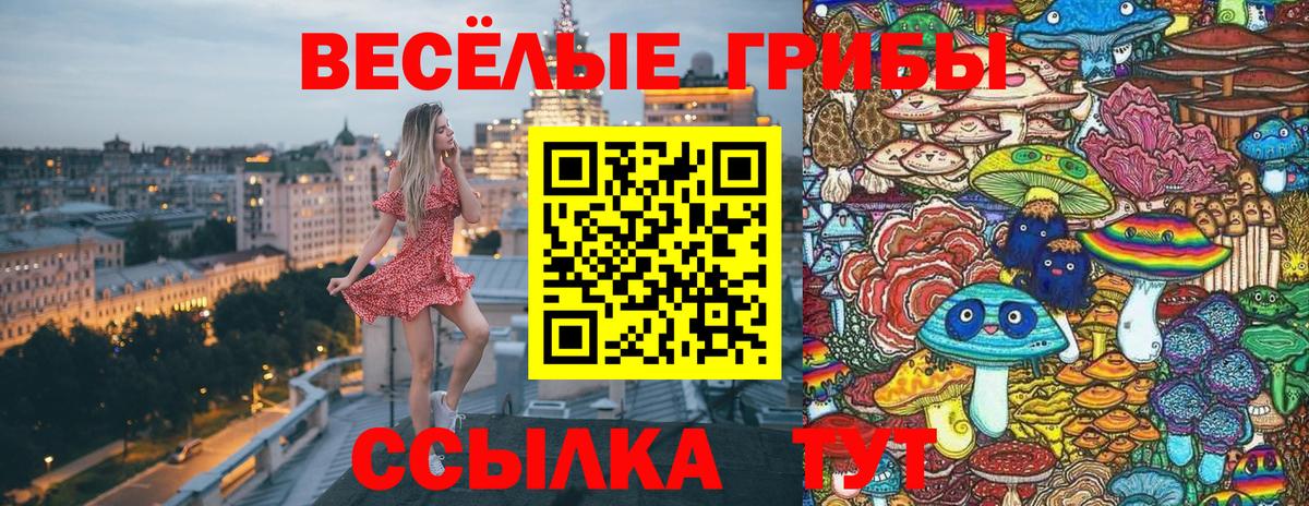 Псилоцибиновые грибы Magic Shrooms Грязи