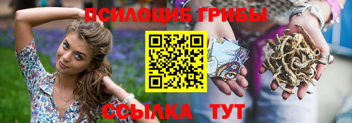 Галлюциногенные грибы Cubensis  Вход с VPN  Галлюциногенные грибы ЛСД  купить   Грязи 